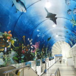 The Aquarium, digital print on transparent fabric, The Skywalk, Toronto
